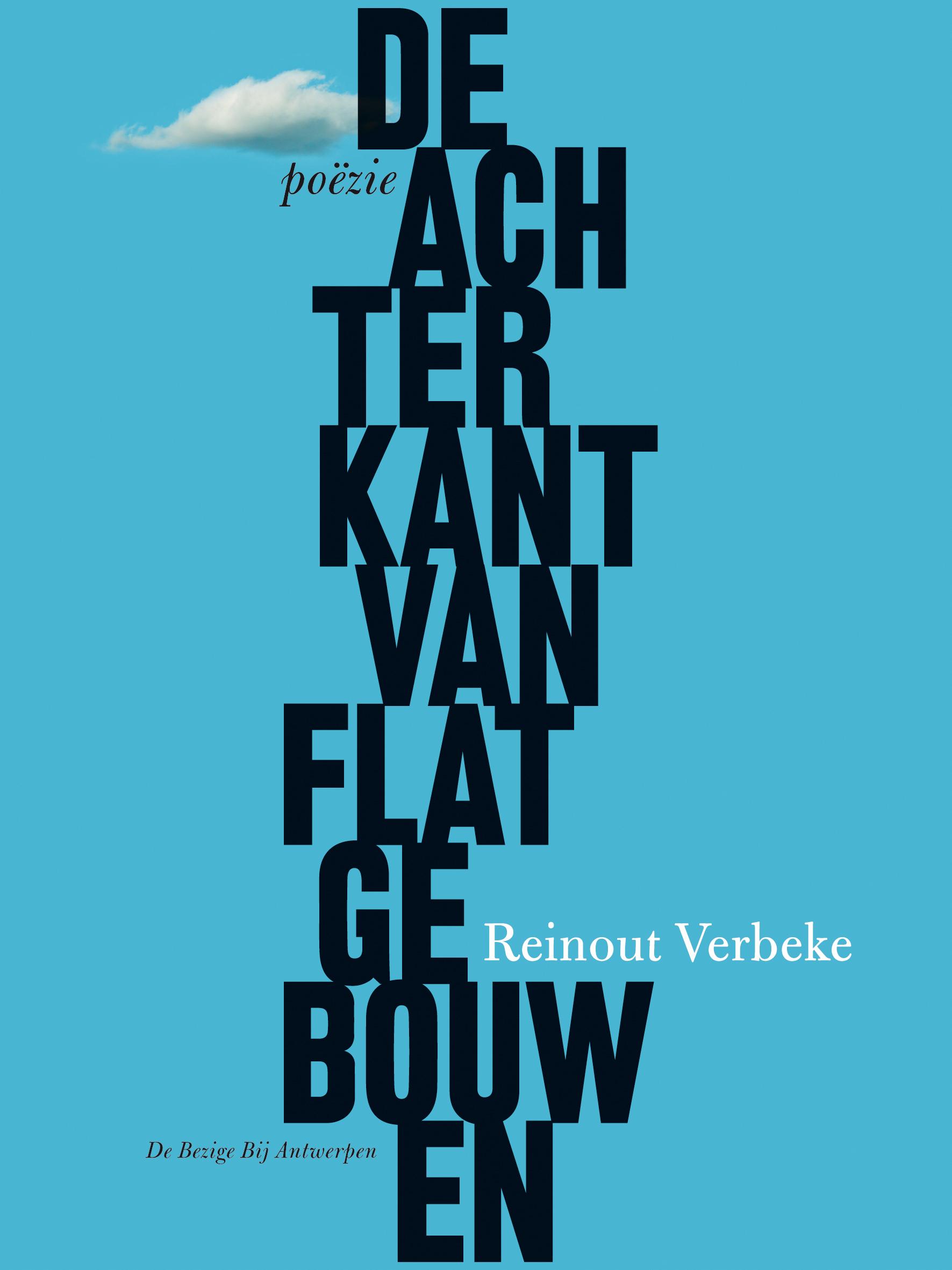 Cover-De-achterkant-van-flatgbouwen De achterkant van flatgebouwen